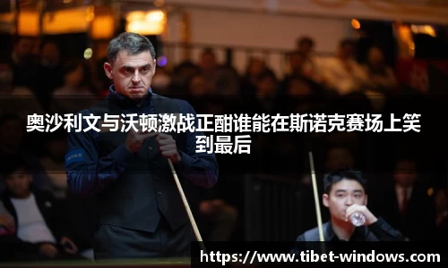 智博19有限公司