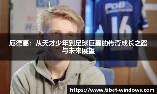 智博19有限公司